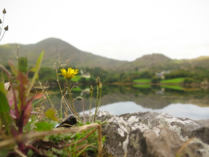 Ring of Beara, Wild Atlantic Way I @SatuVW I Destination Unknown