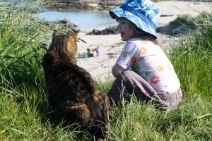 Toddler and a cat I @SatuVW I Destination Unknown